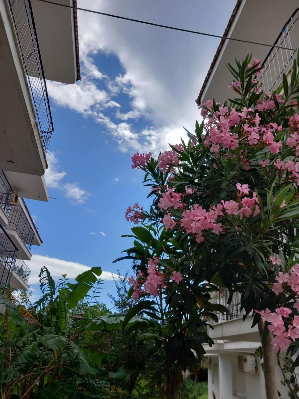 Mourkos-apartments *