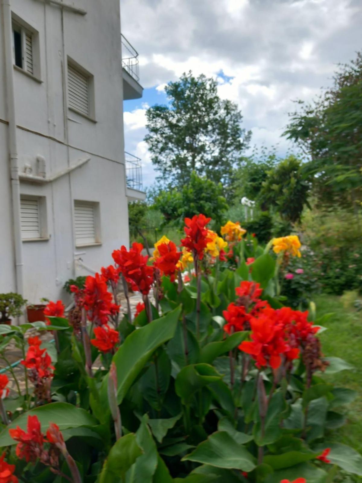 Mourkos-apartments Kryoneri (Aetolia-Acarnania)